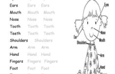 Body Tracing Worksheets Name Tracing Generator Free