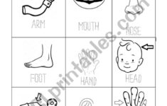 Body Tracing Worksheets Name Tracing Generator Free