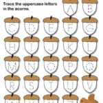 FREE Printable Fall Themed Uppercase And Lowercase Alphabet Letter Tra