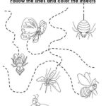Insects Trace Worksheet Insects Preschool Preschool Worksheets