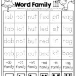 Roll And Trace A Word Family Such A FUN Way To Practice Simple CVC