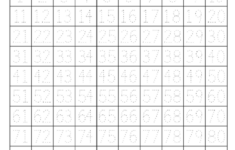 Trace Numbers 1 100 Activity Shelter
